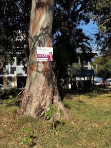 En venta lote apto altura Roosevelt 