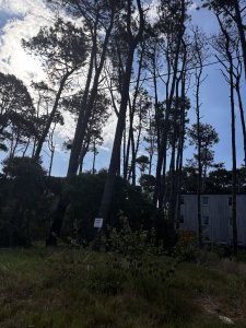En venta lote en La Juanita 