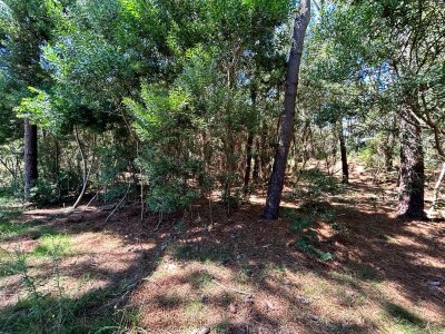 Venta en oportunidad terreno de 1000 m2 Montoya