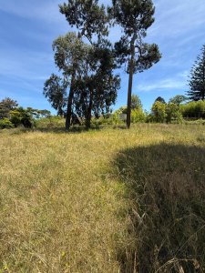 Terreno en Venta El Golf