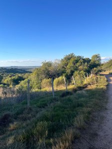 Chacra en ruta 39 antes de Aigua