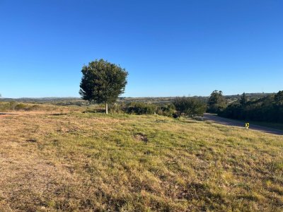 Chacra en ruta 39 