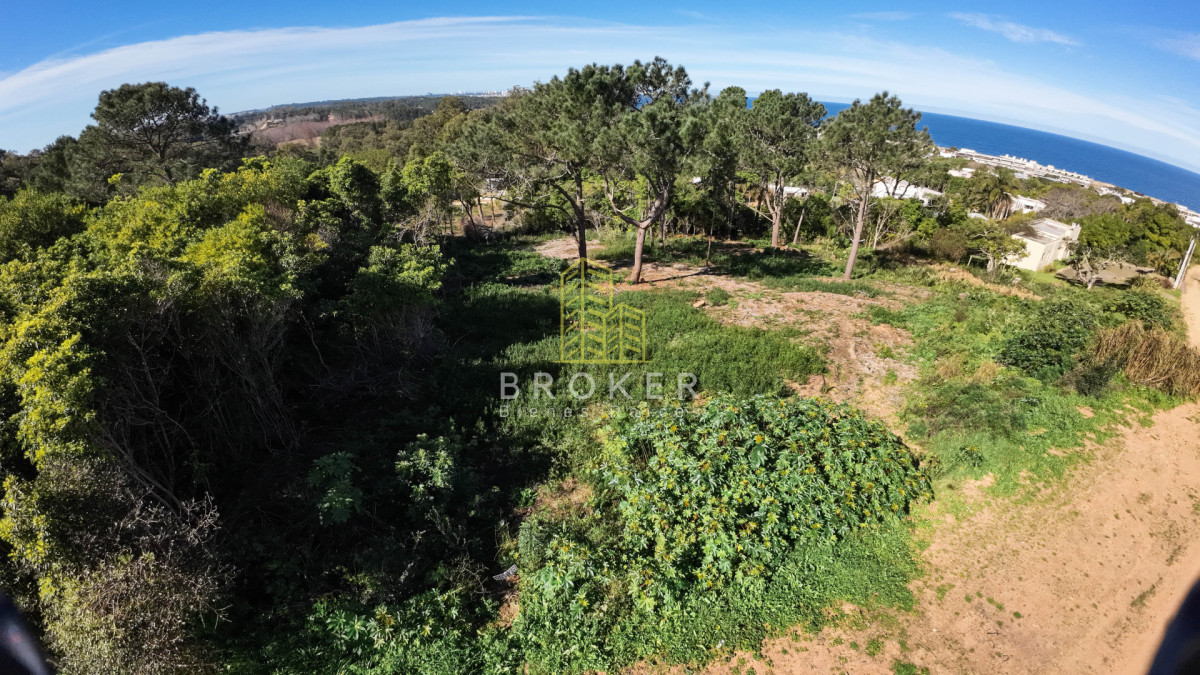 Terreno de 1.232 m2 con vista al mar en Punta Ballena