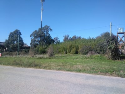 terreno en venta en el chorro - c2177t