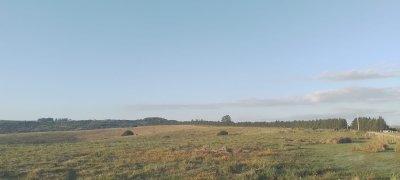 Venta de Chacra con Casa de 30 ha en Sierra de los Caracoles