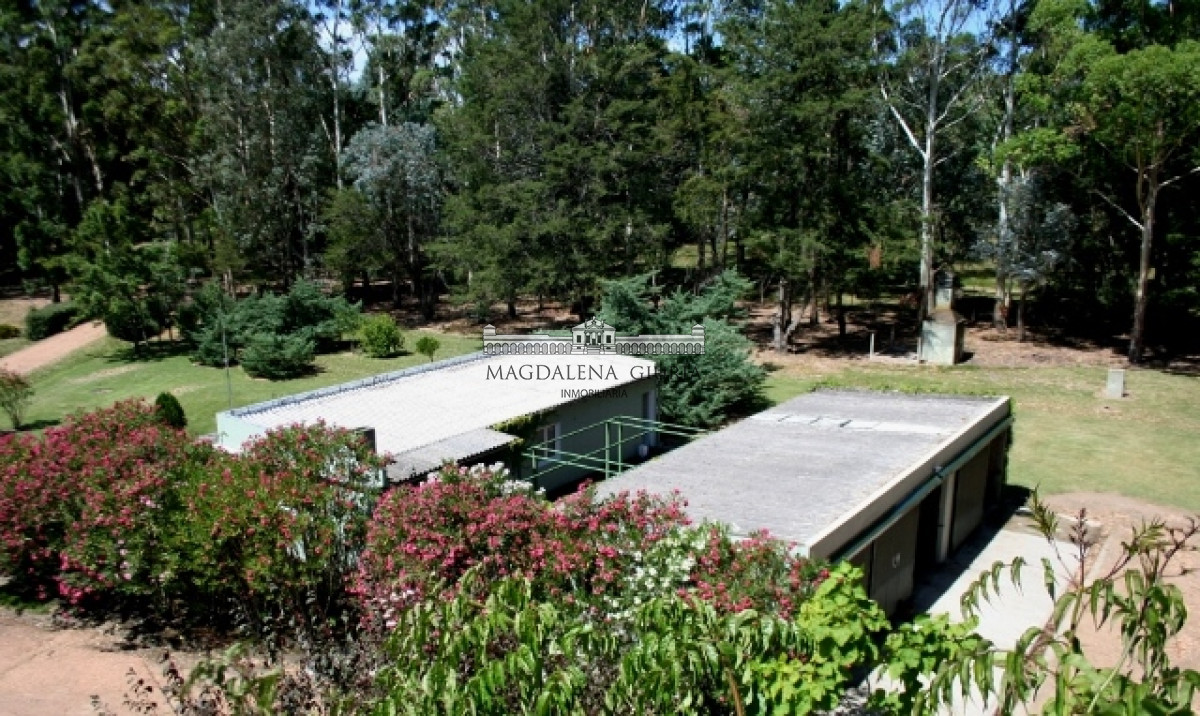 Manantiales - GoPunta - Portal Inmobiliario de Punta del Este - Maldonado