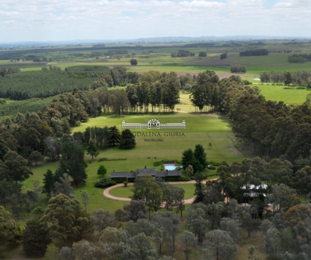 Manantiales - GoPunta - Portal Inmobiliario de Punta del Este - Maldonado
