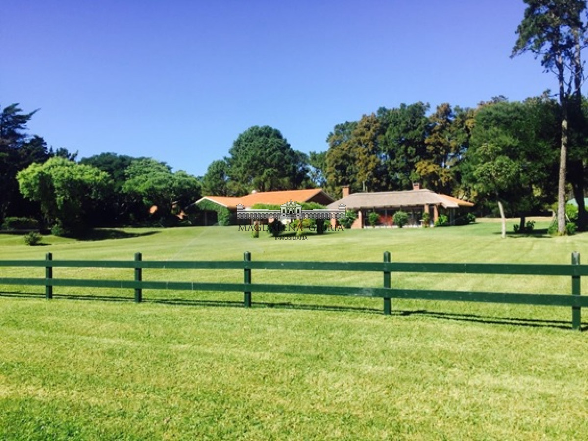 Pinares - GoPunta - Portal Inmobiliario de Punta del Este - Maldonado