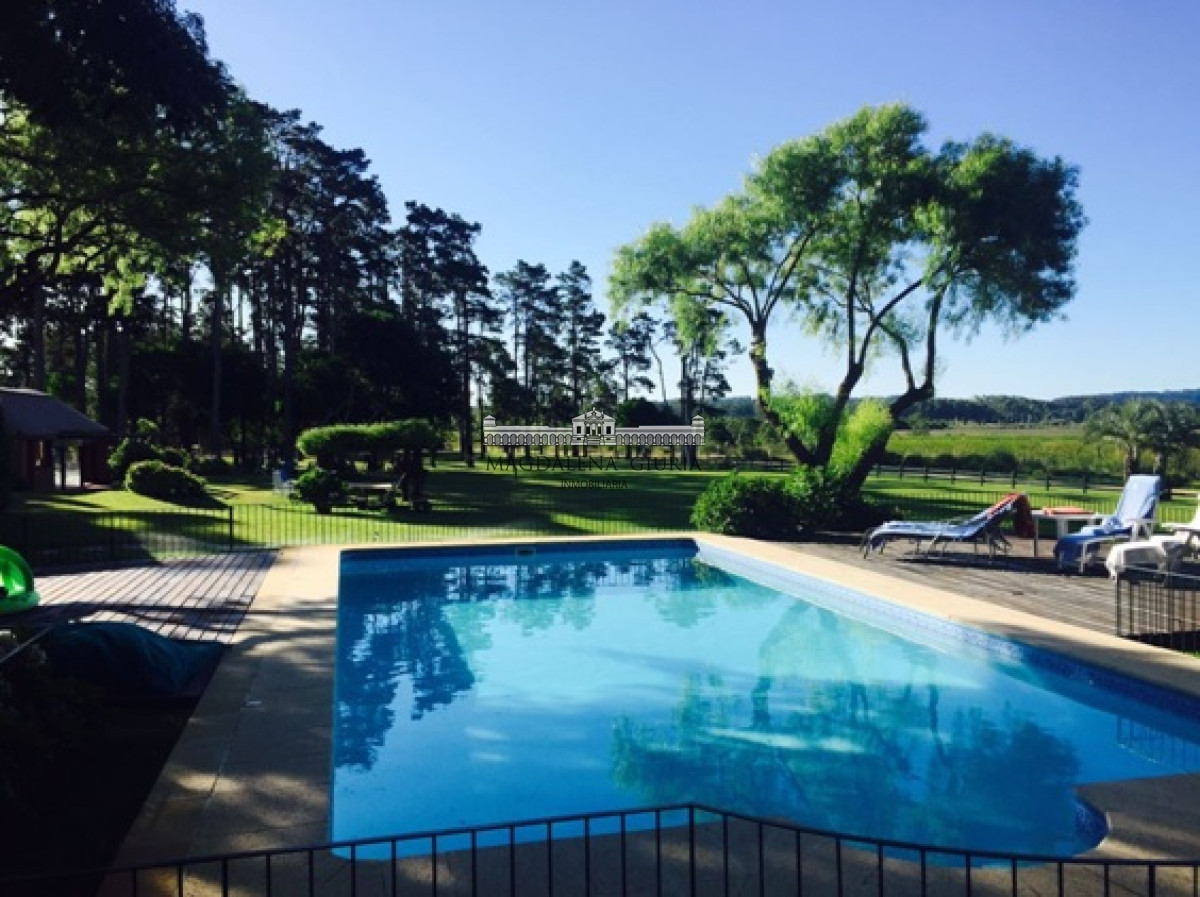Pinares - GoPunta - Portal Inmobiliario de Punta del Este - Maldonado