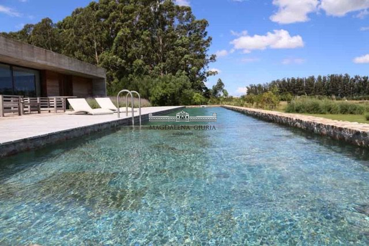 Camino Eguzquiza - GoPunta - Portal Inmobiliario de Punta del Este - Maldonado