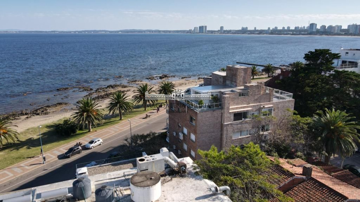 Península - GoPunta - Portal Inmobiliario de Punta del Este - Maldonado