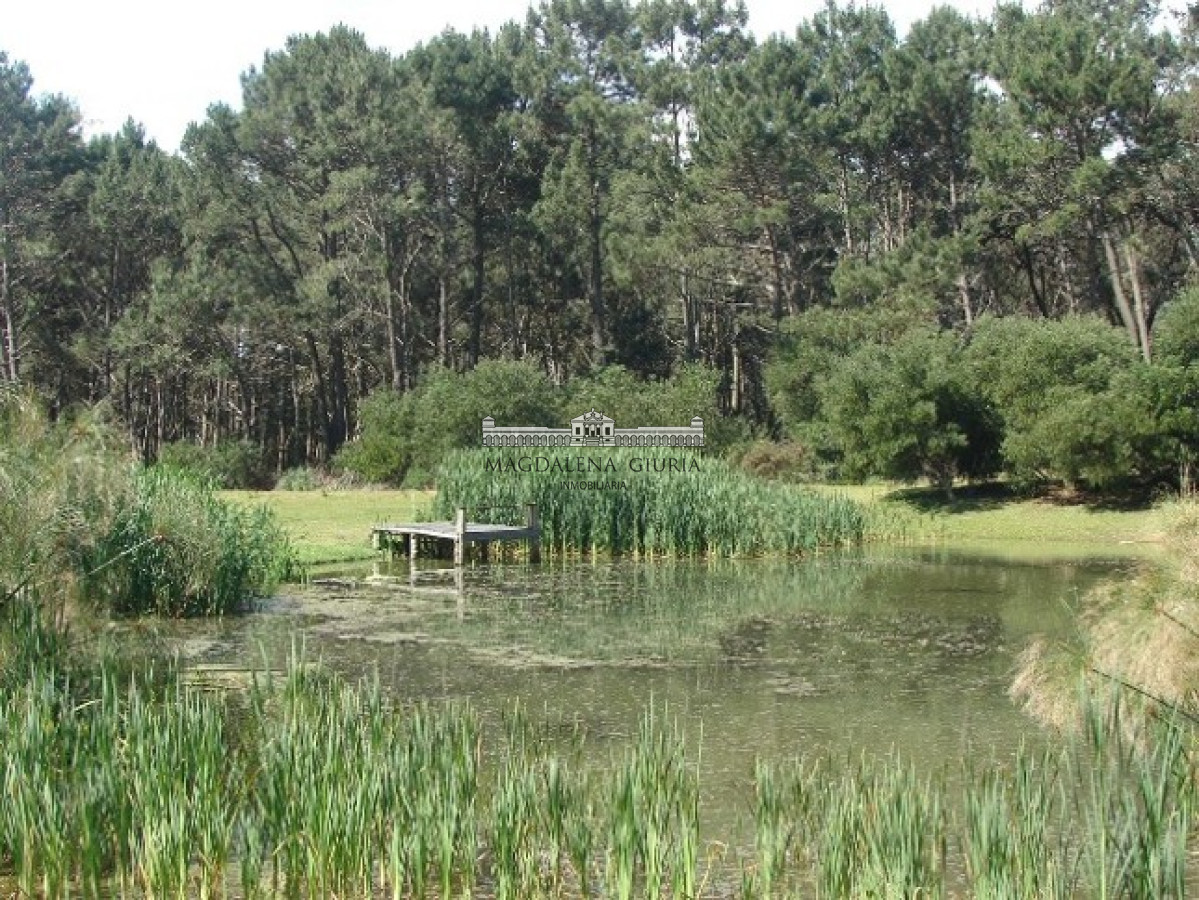 Rincón del Indio - GoPunta - Portal Inmobiliario de Punta del Este - Maldonado