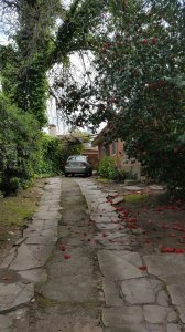 Casa en venta Cantegril 3 dormitorios