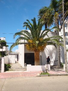 Local en venta Peninsula 