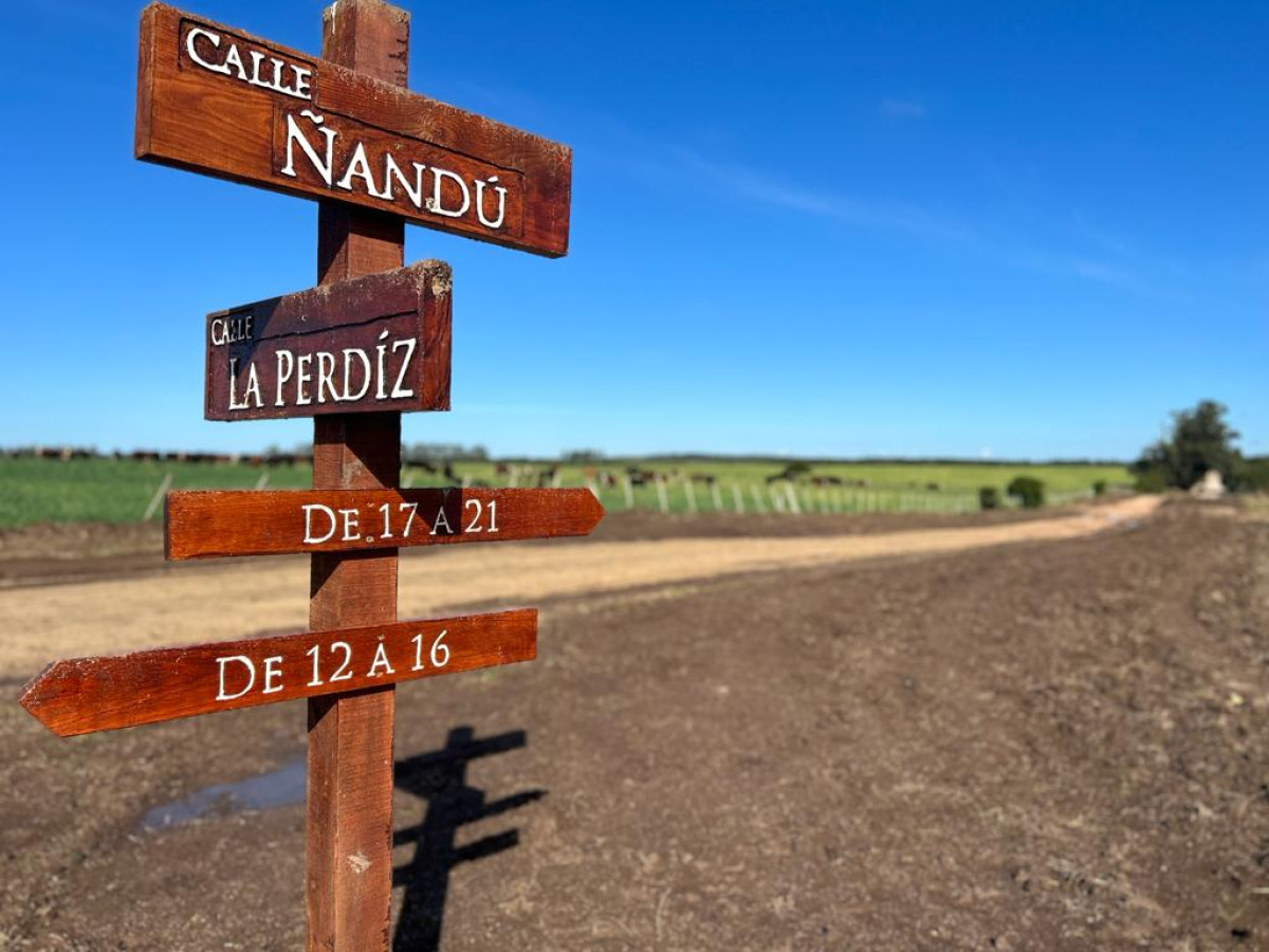 LA GARZONA
