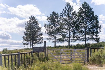 VENTA DE CAMPO COMPLETO EN MIGUES CANELONES DE 72has.