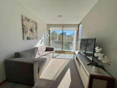 Alquiler apartamento 1 dormitorio amoblado   con garaje 