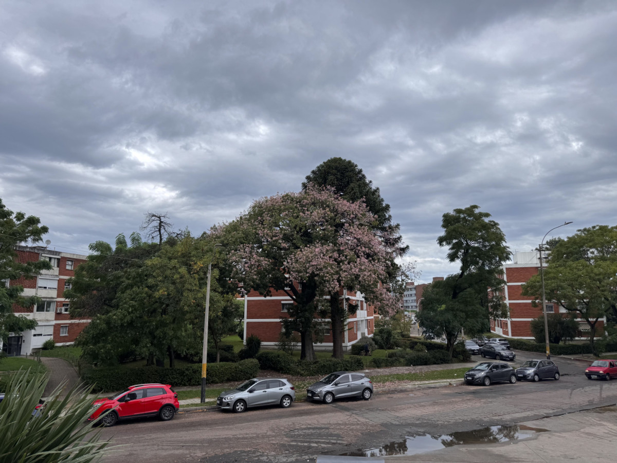 Venta Apartamento 2 Dormitorios Buceo 