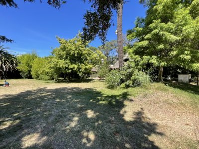 Venta terreno 604mts - Punta del Este 