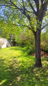 Terreno con casa a reciclar