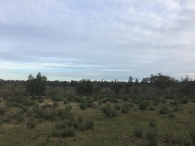 Chacra en ruta 73