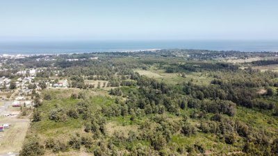 Ideal para fraccionar