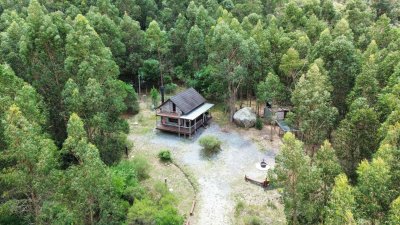 Chacra en Piriapolis de 5hás. en Cerro Pan De Azúcar.