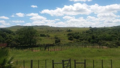 Campo en Tacuarembó