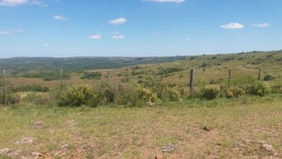 Campo ganadero en Tacuarembó.