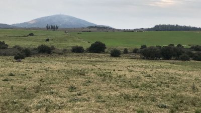 123 hectáreas a pocos kilómetros de Pan De Azúcar