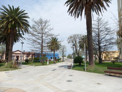 Local en el centro de Pan de Azucar