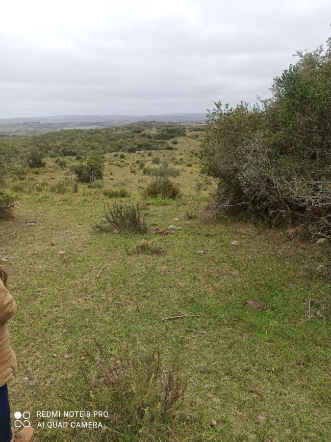 VENTA CHACRA 8 HÁS LAS CAÑAS