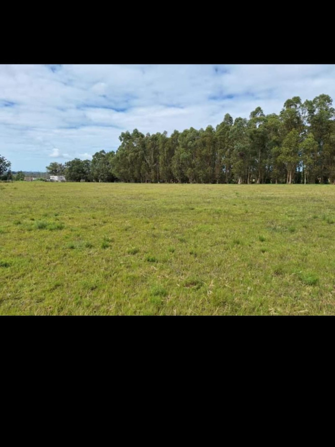 Venta Chacra 8 hás, Camino de los Ceibos