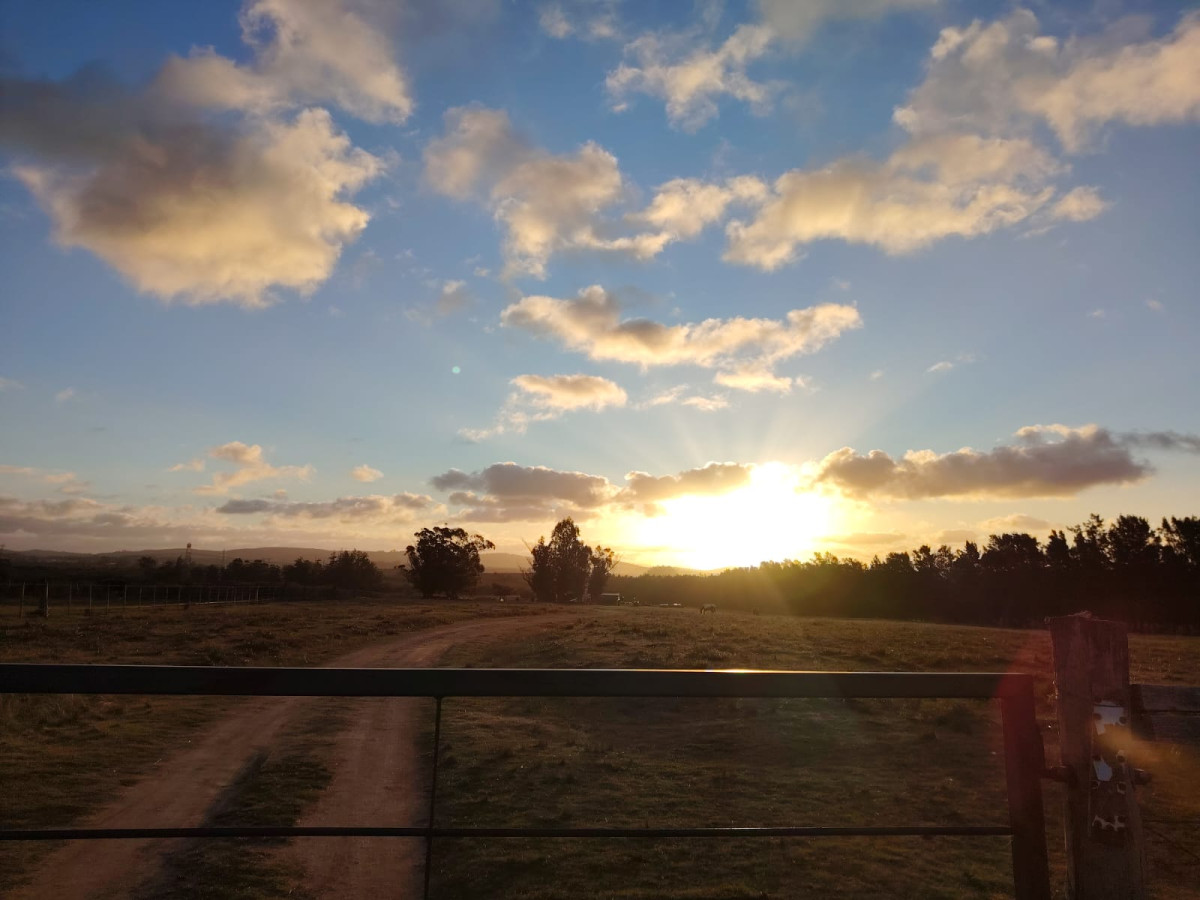 Venta Chacra 8 Hás San Carlos R39