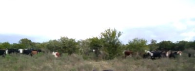 CHACRA EN VENTA EN PARTIDO NORTE