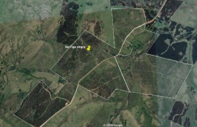 BUEN  CAMPO DE 283 ha. DE LAS CUALES 60ha.SON FORESTADAS  