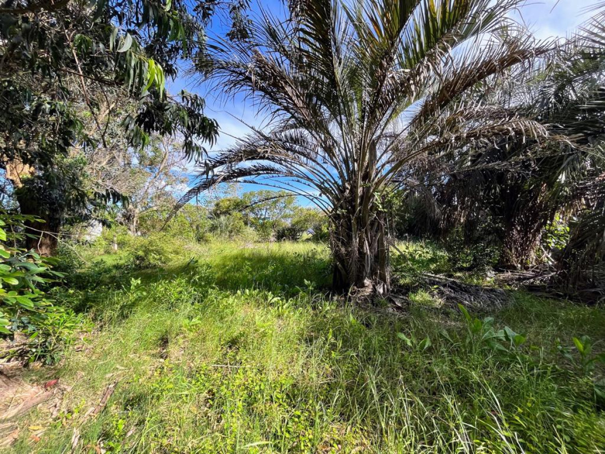 TERRENO EN EL CHORRO