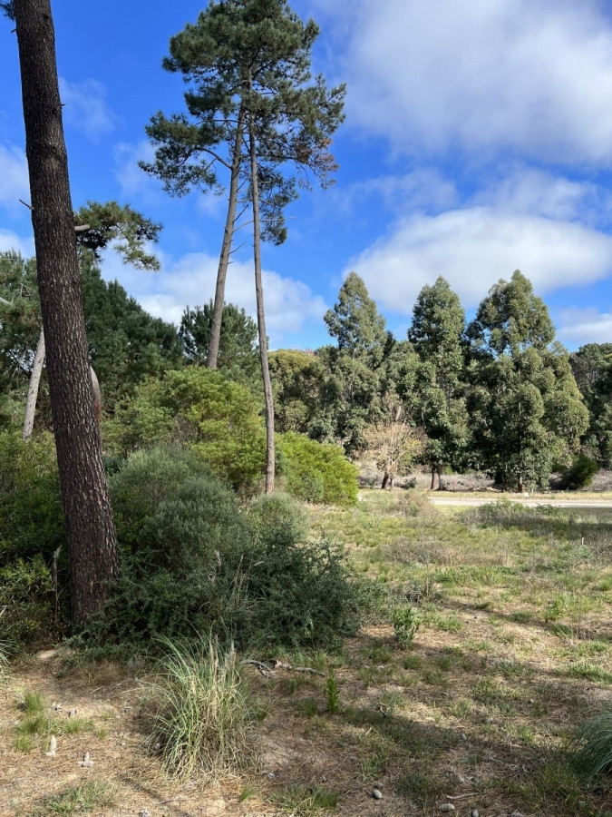 Espectacular terreno en barrio privado