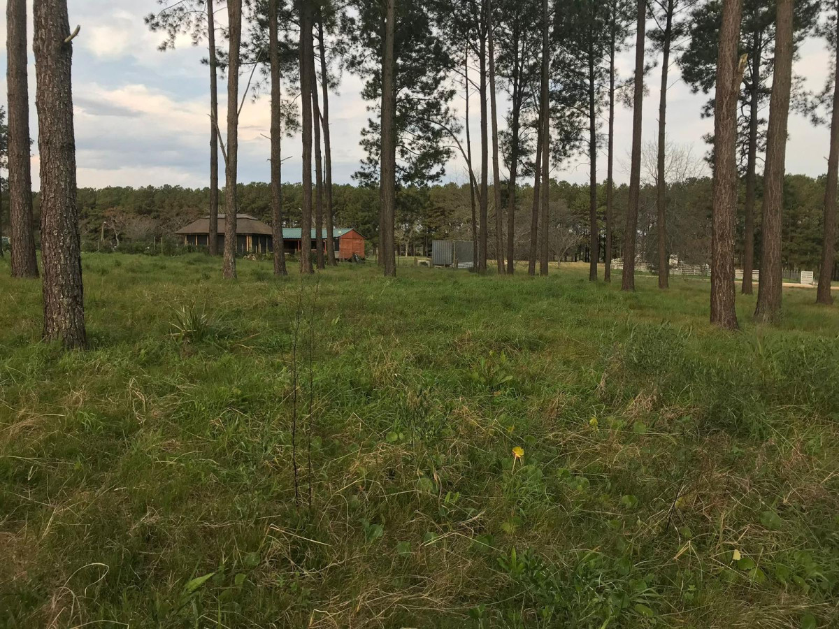 TERRENO EN VENTA EN  CHACRAS DEL PINAR