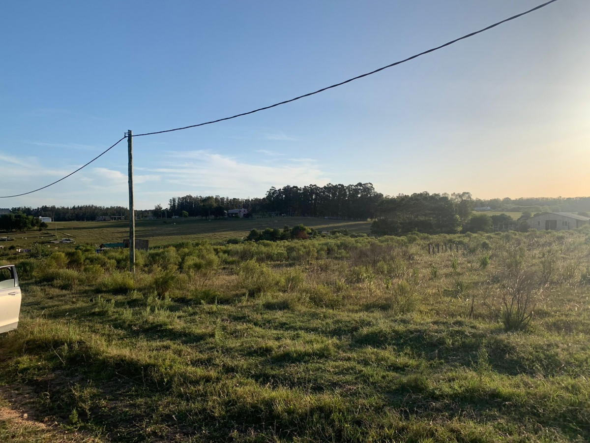 SE VENDEN 10 LOTES EN LA BOTA 300MTS CADA UNO