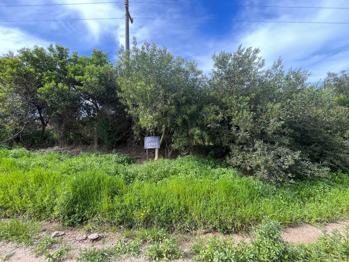 TERRENO VENTA BARRA DE SAUCE DE PORTEZUELO CON VISTA AL MAR