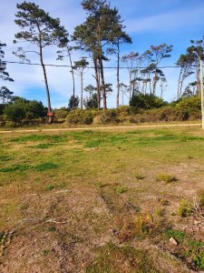 Terreno en venta de 1443 m2 frente al Club de Golf de Punta del Este Maldonado