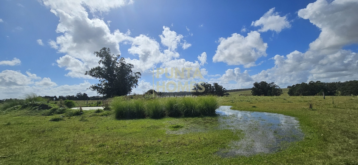 Venta de chacra de 9 hs en José Ignacio, Garzón, Punta del Este.