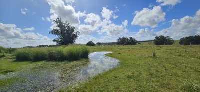 Venta de chacra de 9 hs en José Ignacio, Garzón, Punta del Este.