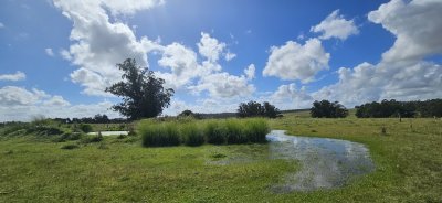 Venta de chacra de 9 hs en José Ignacio, Garzón, Punta del Este.