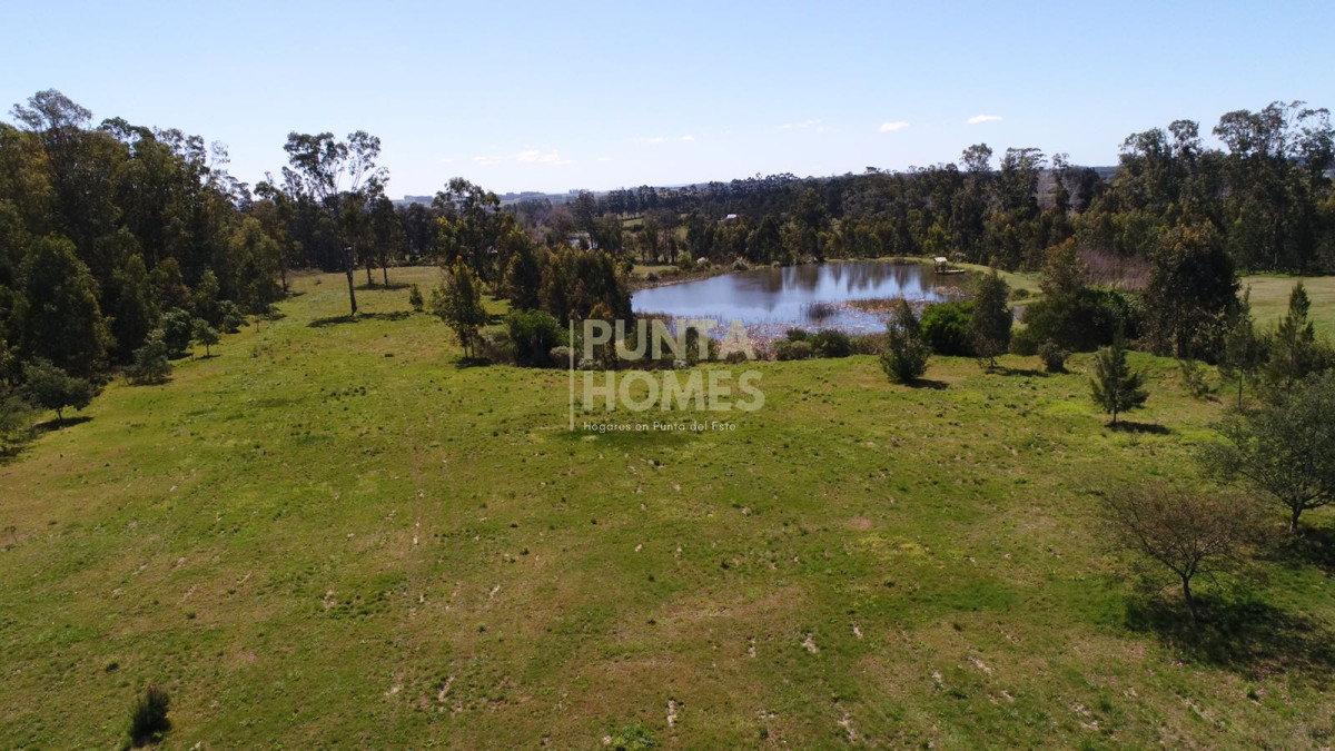 VENTA DE CAMPO CON CAÑADAS Y QUEBRADAS