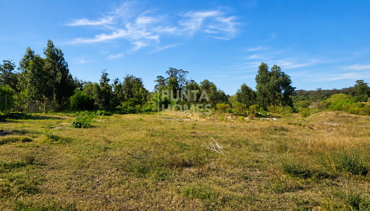 Land for Sale from 1,100 m² in Punta del Este’s Golf District.