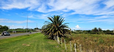 Terreno en Venta en Rocha  Ubicación Estratégica en Ruta 9