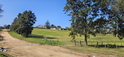 Venta de terreno de 2800 m2 en Barrio Golf de Punta del Este.