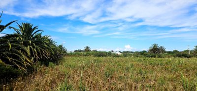 Venta de Terreno en Rocha - Ubicación Estratégica en Ruta 9